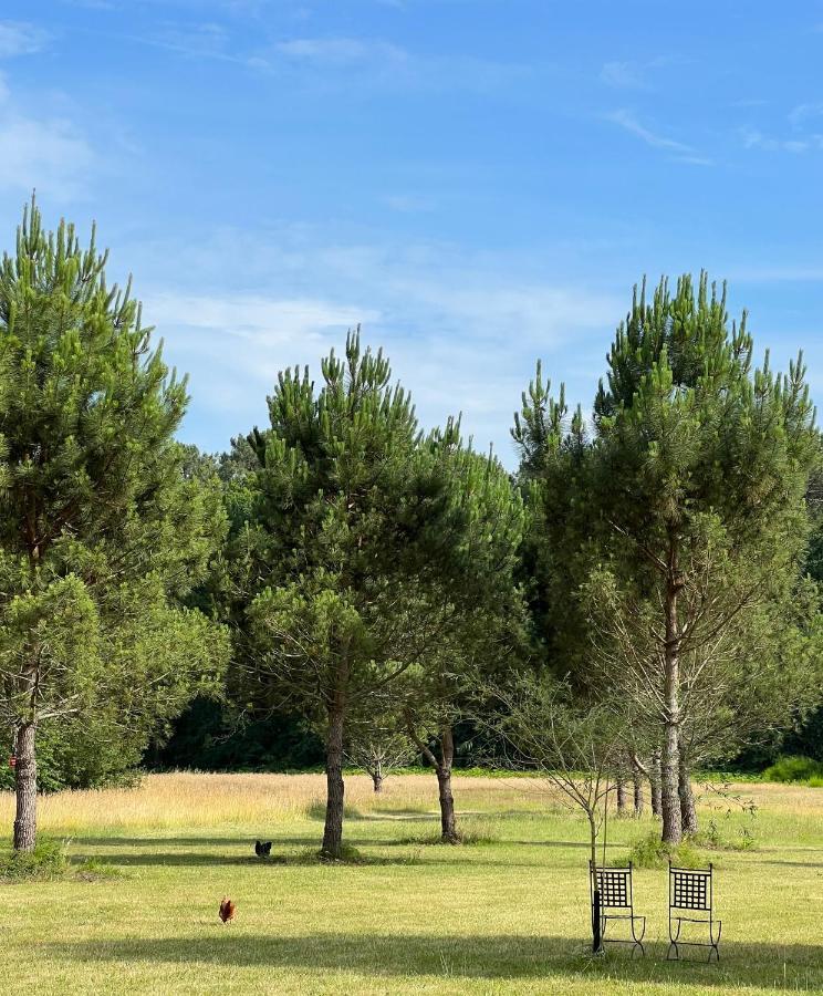 Laguillotte Bed & Breakfast Seignosse Bagian luar foto