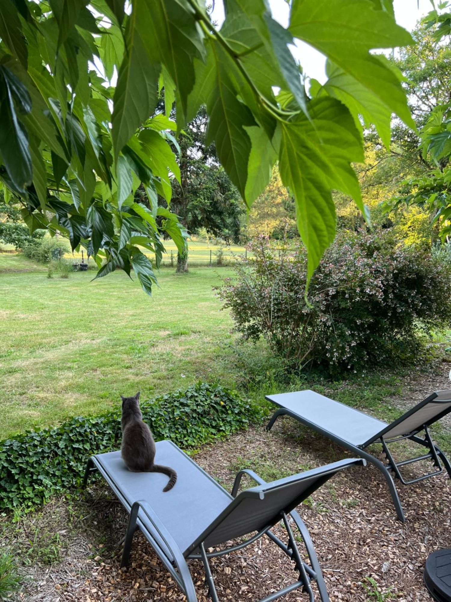 Laguillotte Bed & Breakfast Seignosse Bagian luar foto
